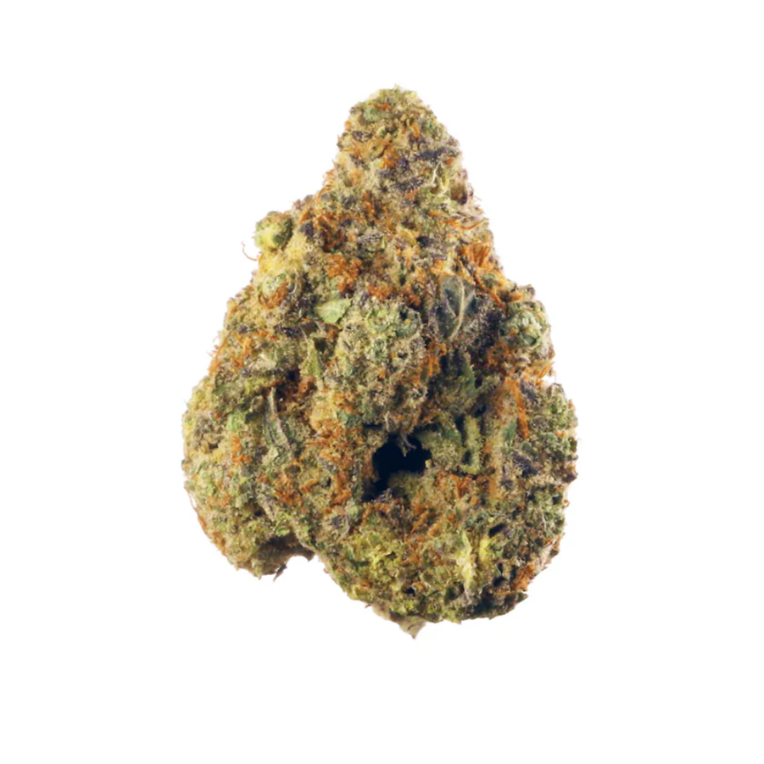 Exotic Sherlato - Hybrid