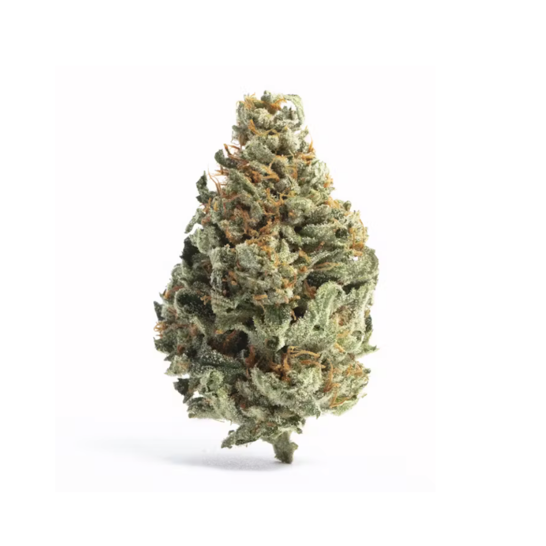 Exotic Gushers -Hybrid