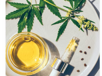 What Is An Endocannabinoid System and Its Relation To Cannabis