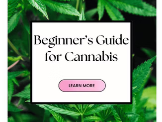 Beginners Guide for Cannabis