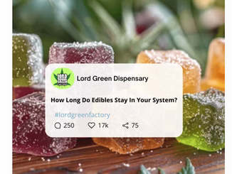 How Long Do Edibles Stay in Your System?
