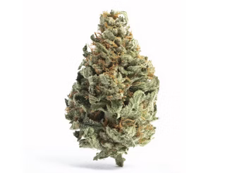 Top 5 Strains for Stress Relief at Lord Green Dispensary