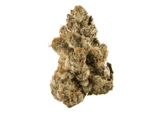 Top Best Cannabis Strains for Pain
