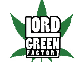 Why Supporting Local Cannabis Brands Matters
