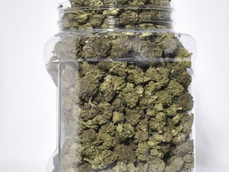 How to Keep Your Weed Fresh