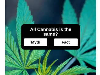 Cannabis Myths Debunked