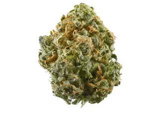 Strains of the Month at Lord Green Dispensary