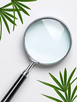Behind the Counter: How We Choose and Test Products at Lord Green Dispensary