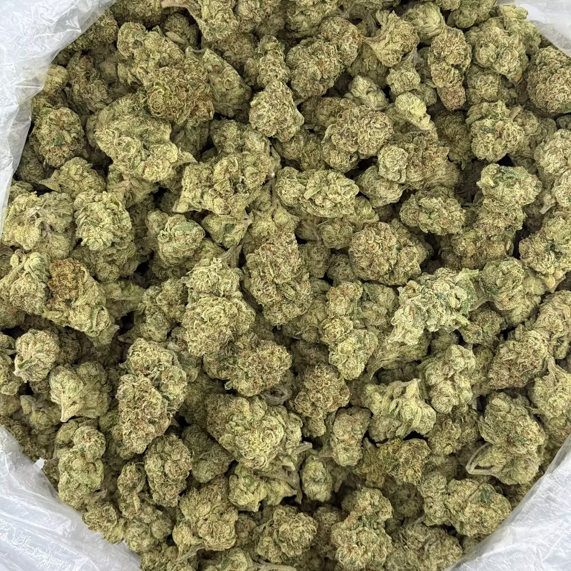 G33