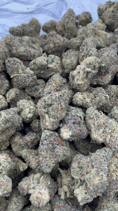 Lemon Cherry Gelato