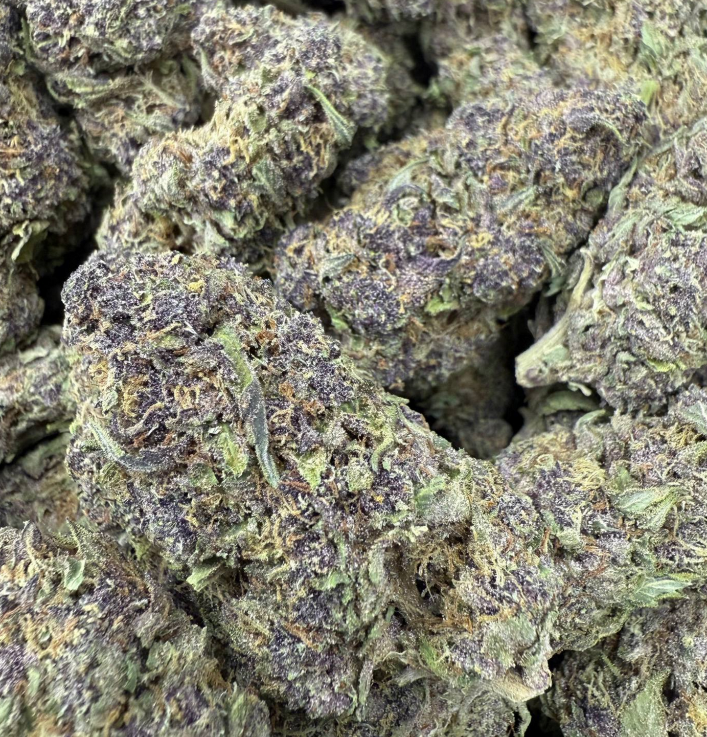 Watermelon Kush