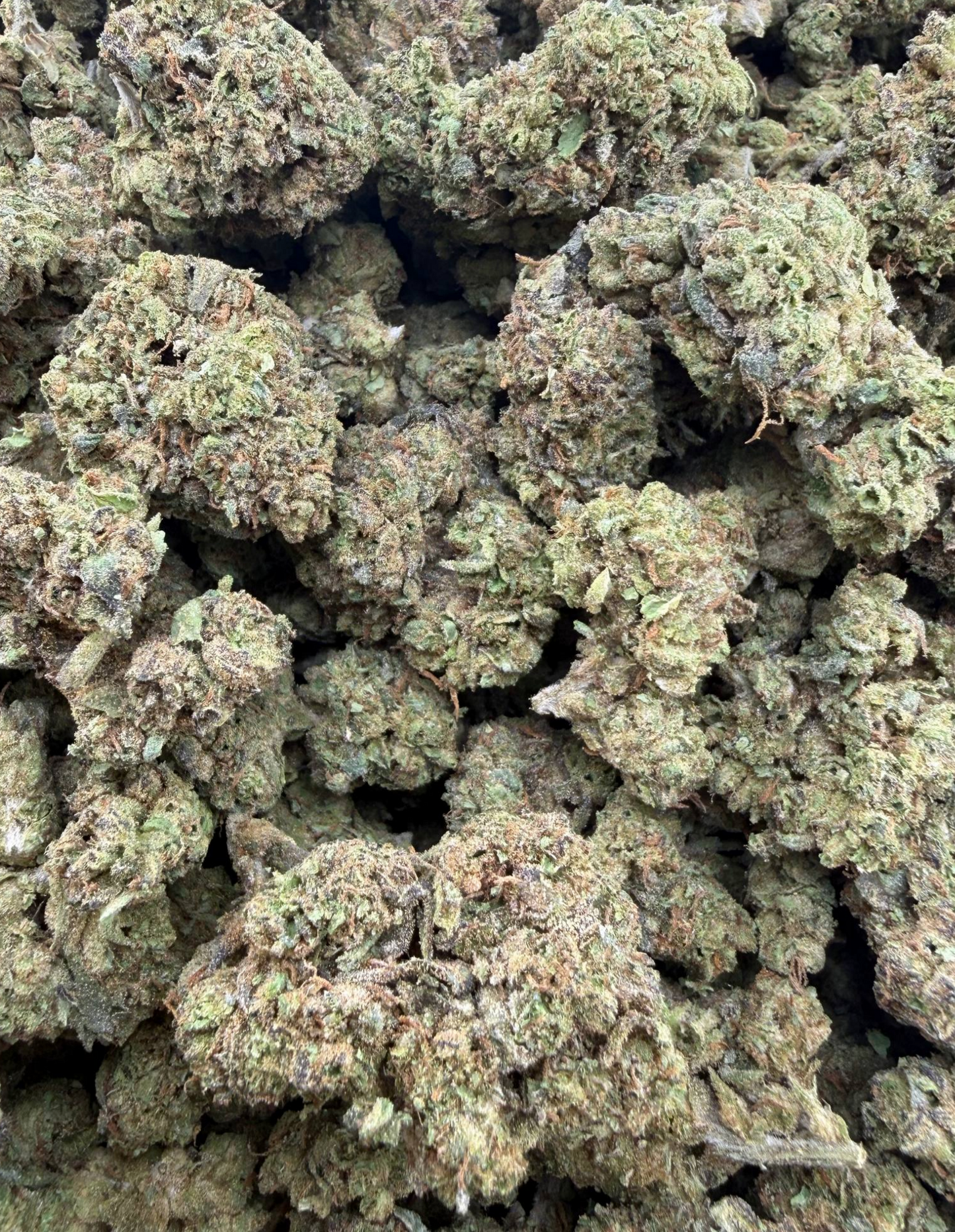 Tropicana Cherry