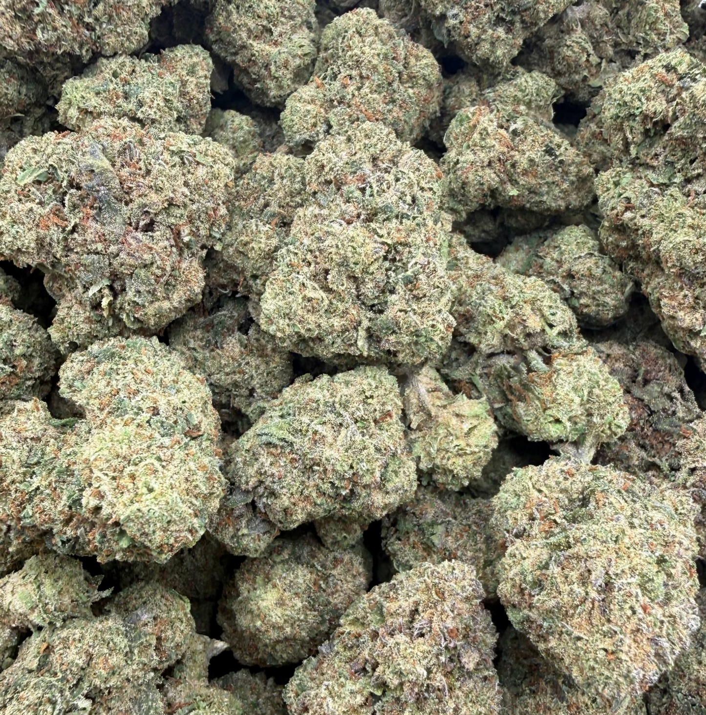 Gelato