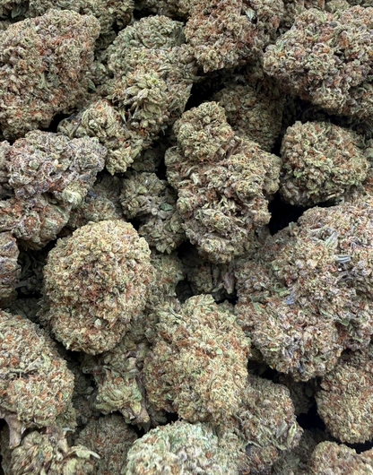 Northern Lights