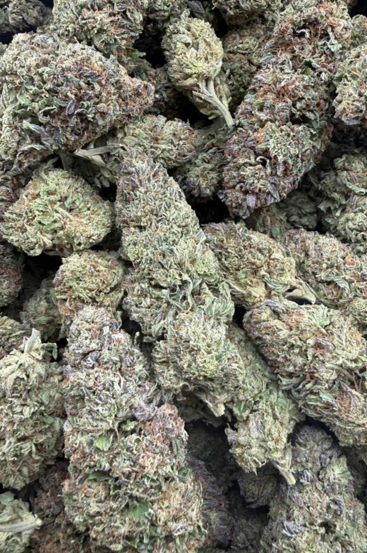 Gorilla Cookies