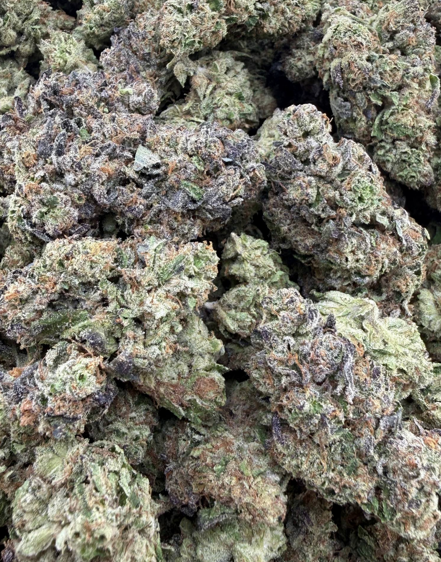 Blue Razzi Kush