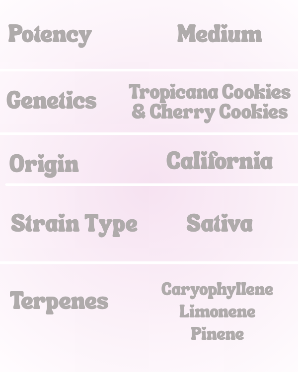 Tropicana Cherry