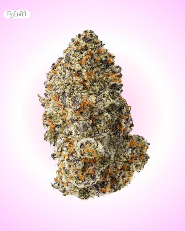 Black Cherry Gelato