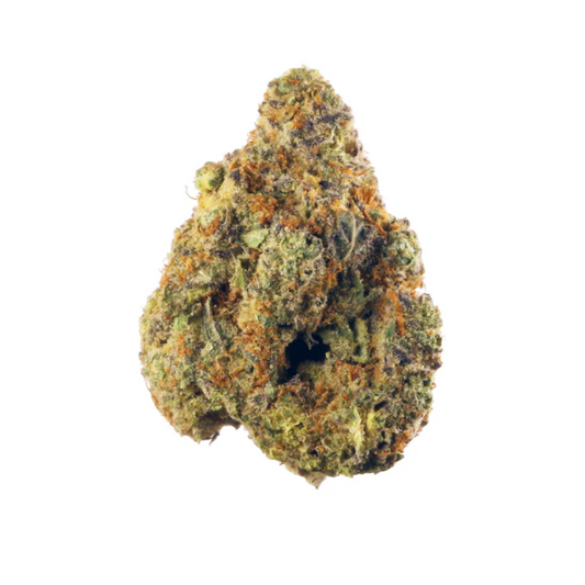 Exotic Sherlato - Hybrid