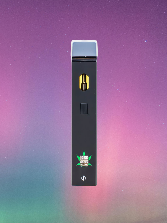 Northern Lights