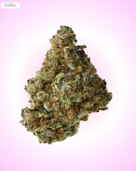 Papaya Punch