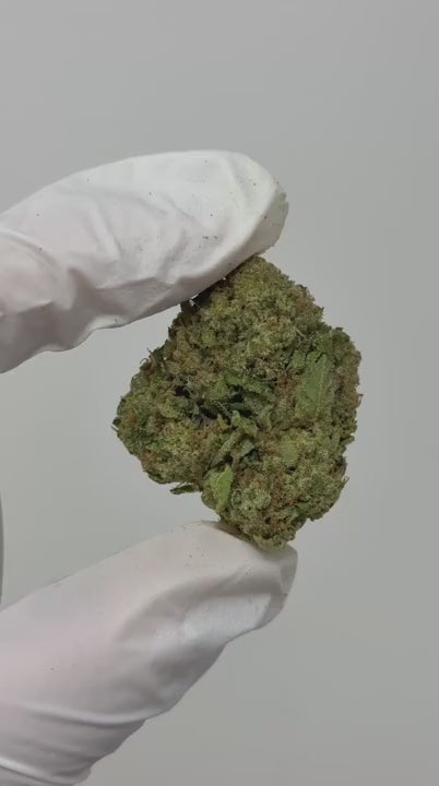 G33