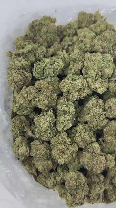 G33