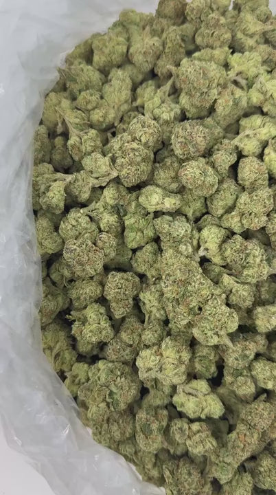 Black Cherry Gelato