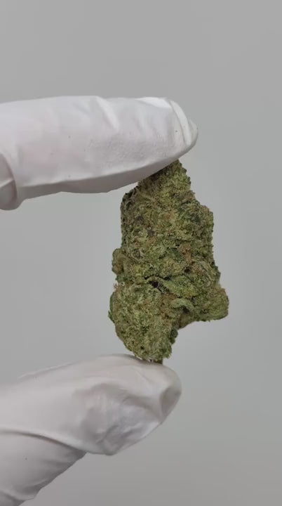 Black Cherry Gelato