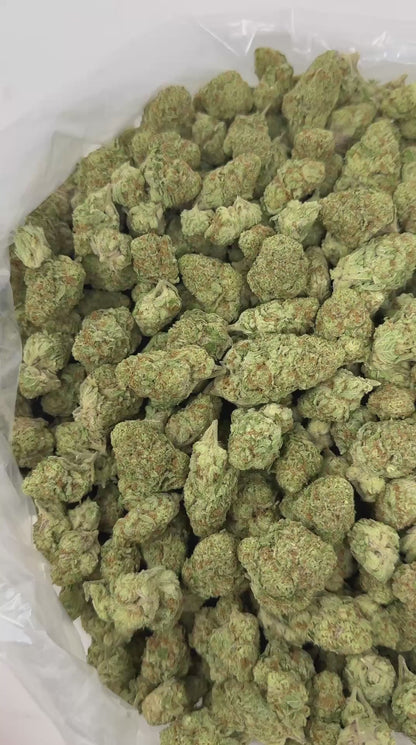 Papaya Punch