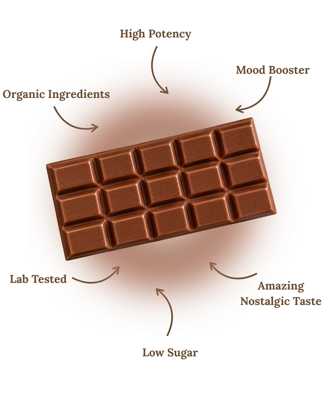 Peanut Butter Crunch 12g Chocolate Bar